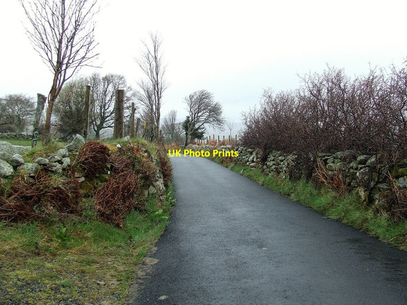 Photo 6"x4" Minor Road Tal-y-Bont\/SH7668 c2016