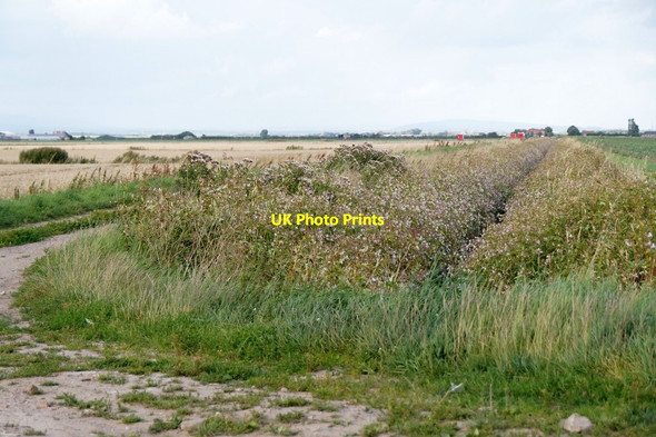 Photo 6"x4" Carr Heys Watercourse, Dib Lane, Hesketh Hesketh Bank c2016