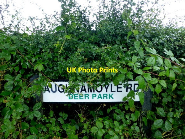 Photo 6"x4" Hidden road sign, Deer Park Omagh c2016