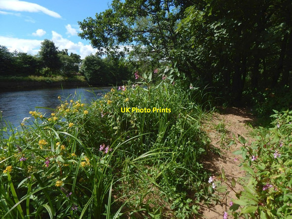Photo 6"x4" Beside the River Leven Dumbarton c2016