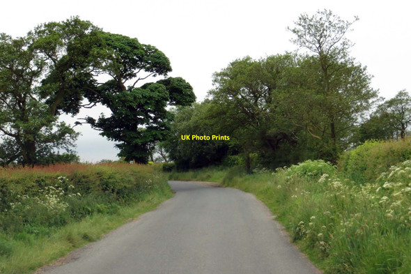 Photo 6"x4" Horns Lane to Hill Chapel Whitechapel\/SD5541 c2015