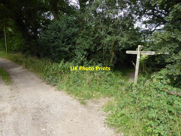 Photo 6"x4" Footpath crosses West Sussex Literary Trail Balls Green\/TQ1023 c2016