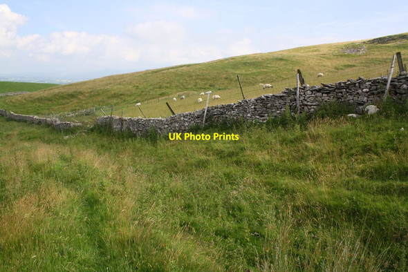 Photo 6"x4" Dry stone wall and sheep pasture southeast of Nateby Kirkby Stephen c2016