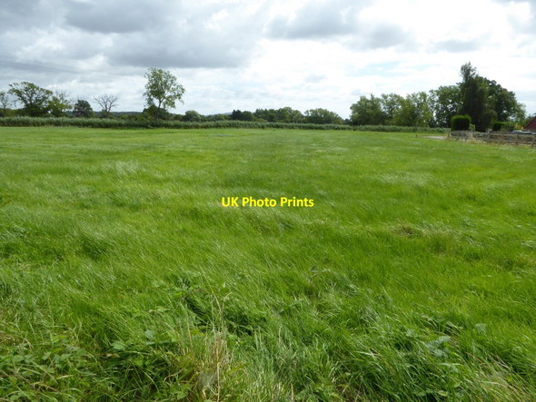 Photo 6"x4" Field near Moat Farm Baughton c2016