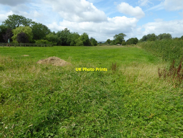 Photo 6"x4" Footpath through a field Baughton c2016