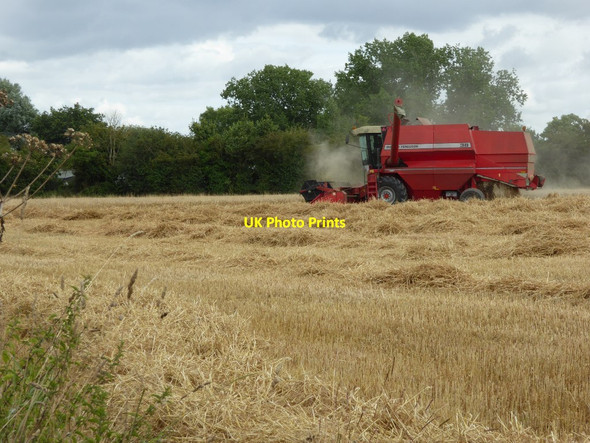 Photo 6"x4" Combining wheat field Baughton c2016