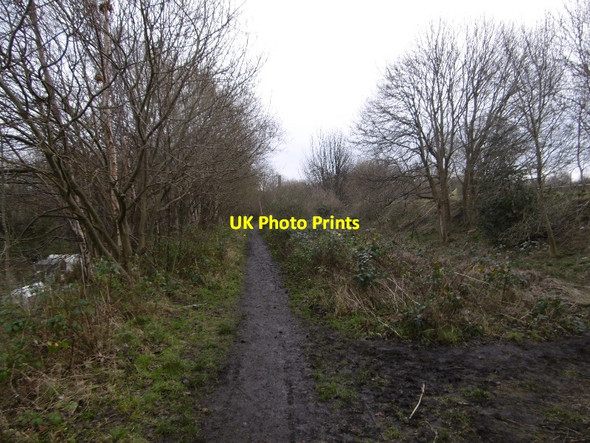 Photo 6"x4" Rail trackbed near Powderhall Edinburgh c2016
