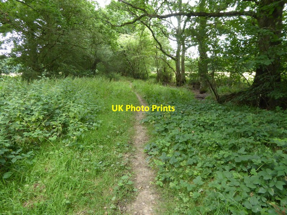 Photo 6"x4" Looking north on Oldhouse Lane Broadford Bridge c2016