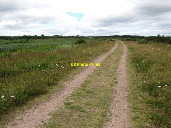 Photo 6"x4" Public footpath heading north-west at St Aidan's Wood Row\/SE3827 c2016