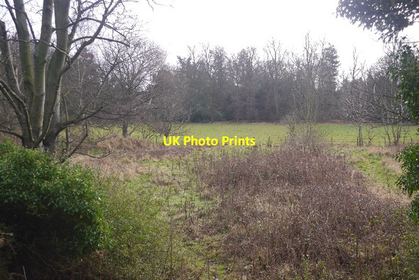 Photo 6"x4" Parkland, Carberry Tower Dalkeith\/NT3467 c2016