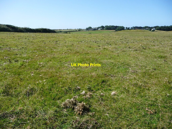 Photo 6"x4" Farmland east of Ballagyr Peel\/SC2484 c2016
