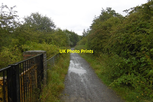 Photo 6"x4" Bridge, Silksworth Colliery Railway Hillview\/NZ3954 c2016
