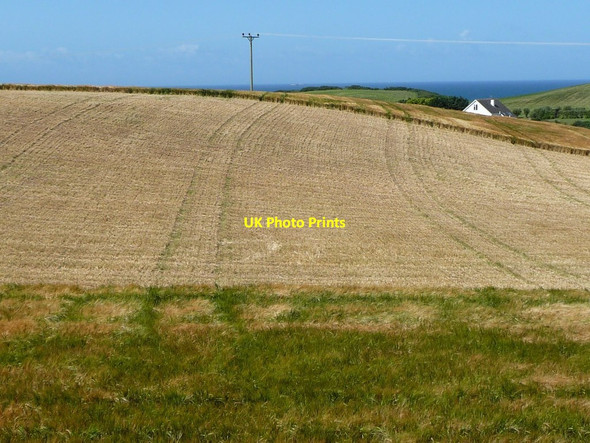 Photo 6"x4" Partially harvested barley field, north of Lhergydhoo Lane Knocksharry c2016