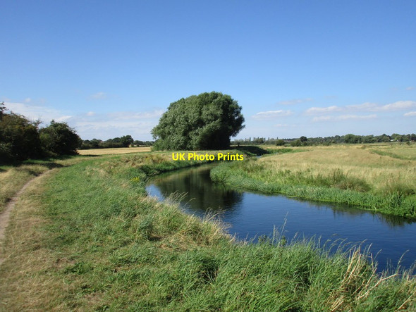 Photo 6"x4" Alongside the River Idle Retford c2016