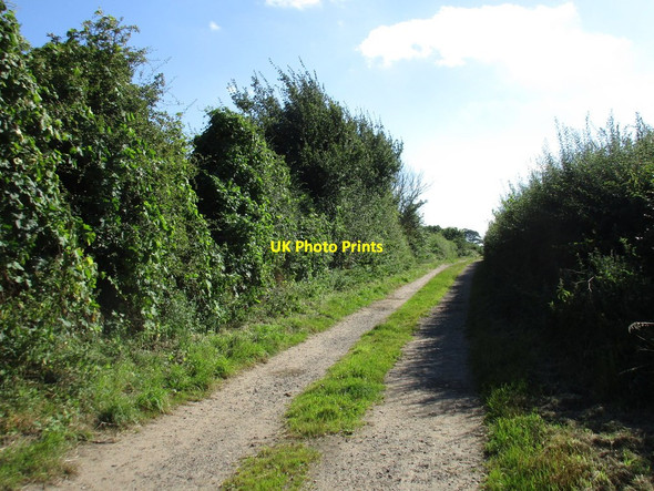 Photo 6"x4" Sandy Lane, Gamston Gamston\/SK7076 c2016