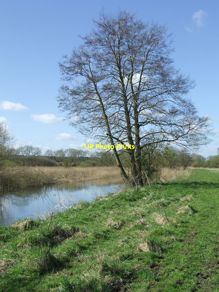 Photo 6"x4" River Bank Hockwold cum Wilton c2016