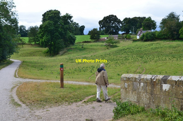 Photo 6"x4" Paths by the River Clywedog, Erddig Country Park Wrexham\/Wrecsam c2016