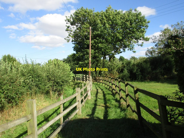 Photo 6"x4" Footpath to Rockley Rockley\/SK7174 c2016