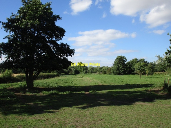 Photo 6"x4" Grassland by the River Maun Rockley\/SK7174 c2016
