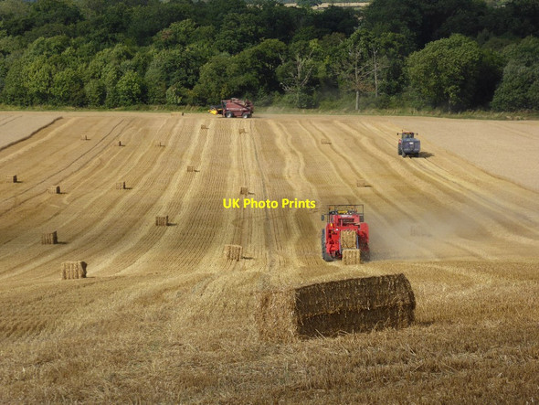 Photo 6"x4" Harvesting wheat Stratford\/SO8838 c2016