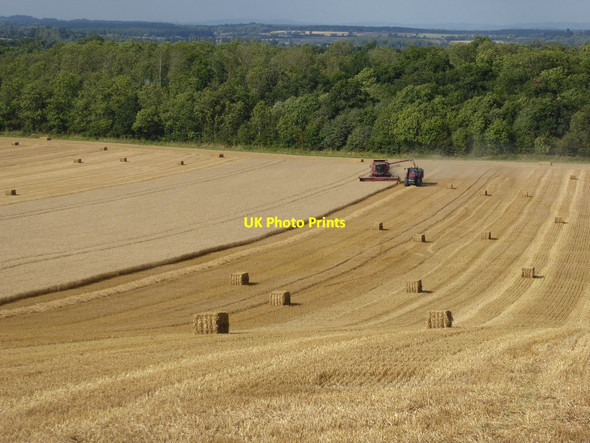 Photo 6"x4" Harvesting wheat Stratford\/SO8838 c2016 P1