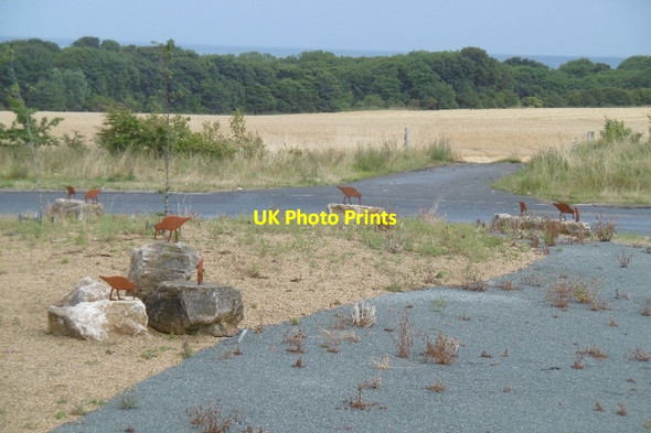Photo 6"x4" Oystercatchers, Ryhope bypass Ryhope c2016