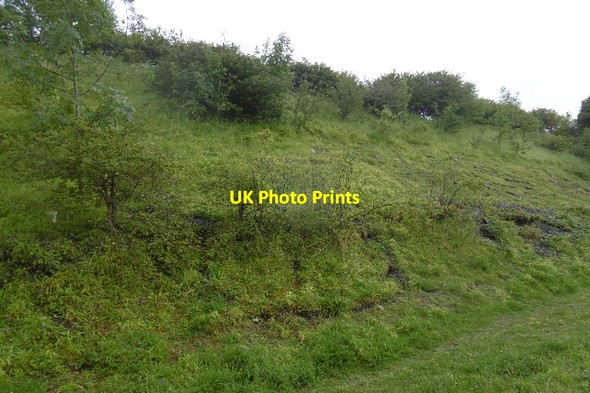 Photo 6"x4" Cutting, Durham and Sunderland Railway Seaham c2016