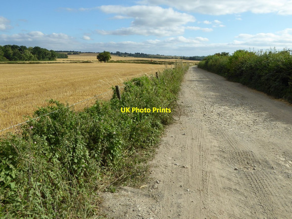 Photo 6"x4" Road to Ley Farm Upper Strensham c2016