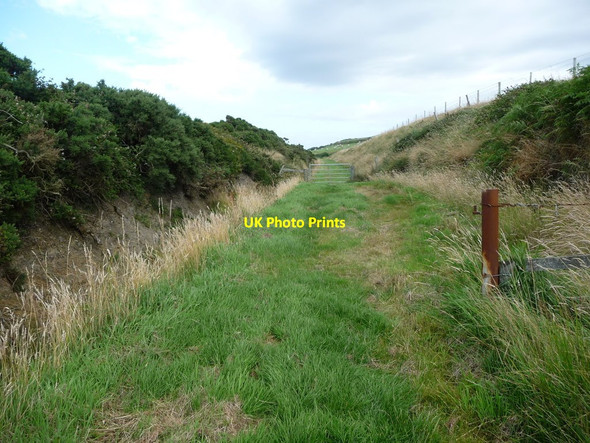 Photo 6"x4" Field gate across the former Manx Northern Railway Ballacarnane Beg c2016