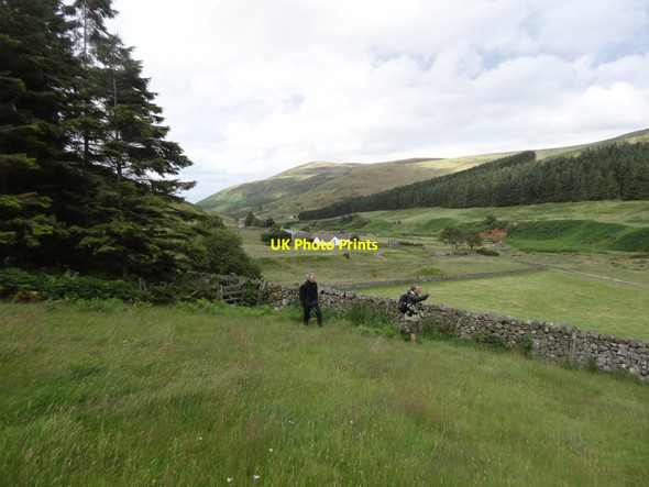 Photo 6"x4" Fleehope and The College Valley Fawcett Shank c2016