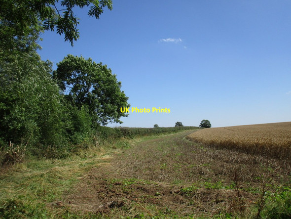Photo 6"x4" Field edge near Eaton Wood Headon\/SK7477 c2016