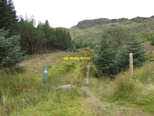 Photo 6"x4" Head of Coilessan Glen Ardgartan c2016