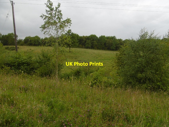 Photo 6"x4" Pesspool Dene Fleming Field c2016