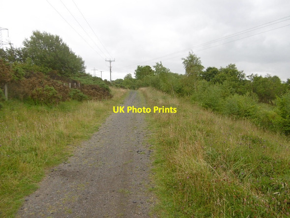 Photo 6"x4" South Hetton Railway Fleming Field c2016