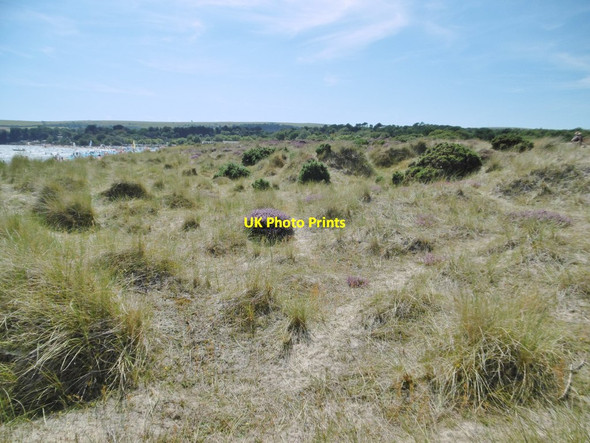 Photo 6"x4" Studland, dunes Studland c2016