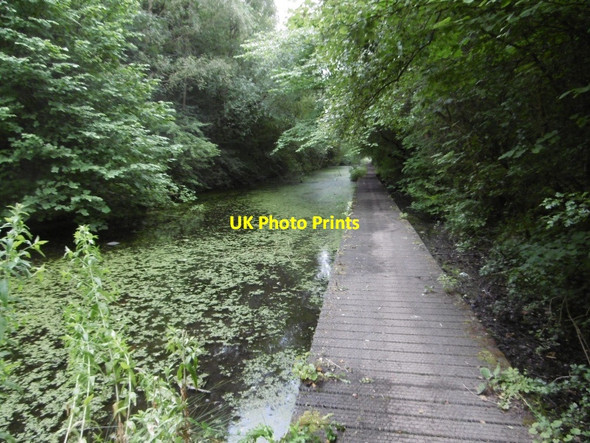 Photo 6"x4" Boardwalk, Pesspool Wood Fleming Field c2016
