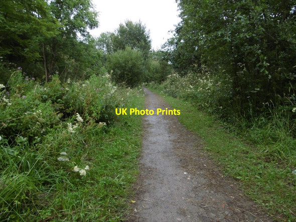 Photo 6"x4" Haswell to Hart Countryside Walkway Fleming Field c2016