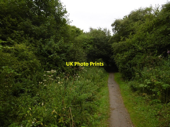 Photo 6"x4" Cutting, Shotton Colliery Fleming Field c2016