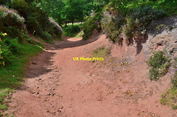 Photo 6"x4" Sand and sandstone, Bickerton Hill Bickerton\/SJ5052 c2016