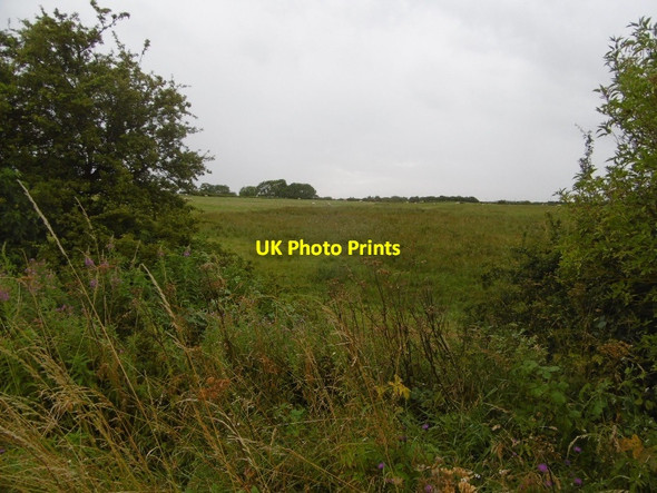 Photo 6"x4" Fields near White Hurworth South Wingate c2016