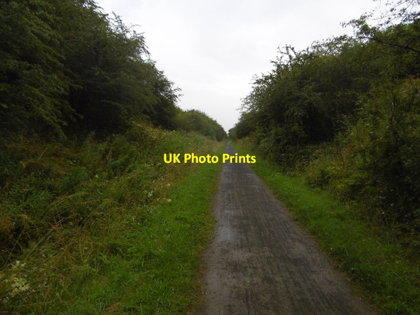 Photo 6"x4" Castle Eden Walkway Embleton\/NZ4129 c2016