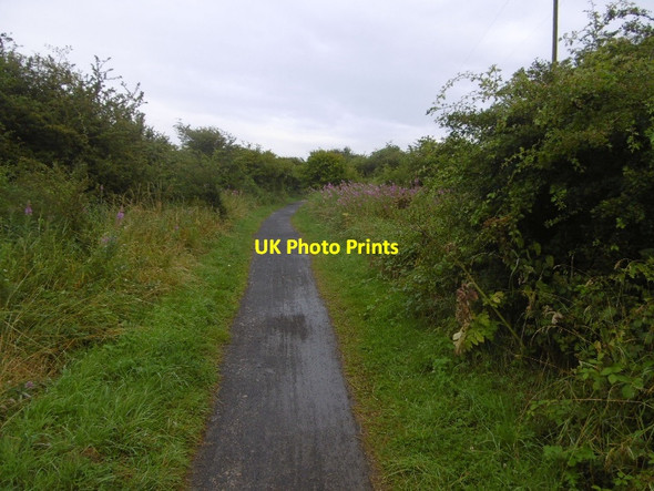 Photo 6"x4" Castle Eden Walkway Embleton\/NZ4129 c2016