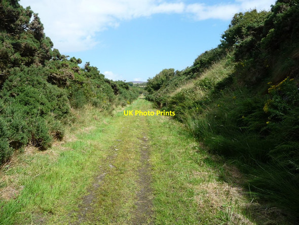 Photo 6"x4" Shallow cutting, former Manx Northern Railway Ballacarnane Beg c2016