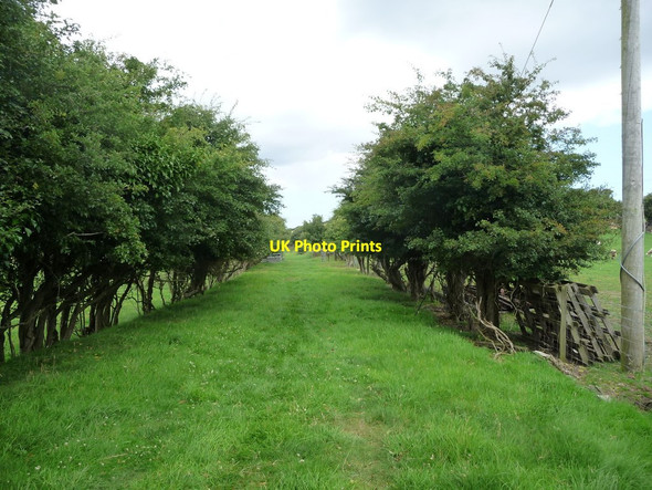 Photo 6"x4" Raad ny Foillan coastal footpath at Ballaquine Ballacarnane Beg c2016