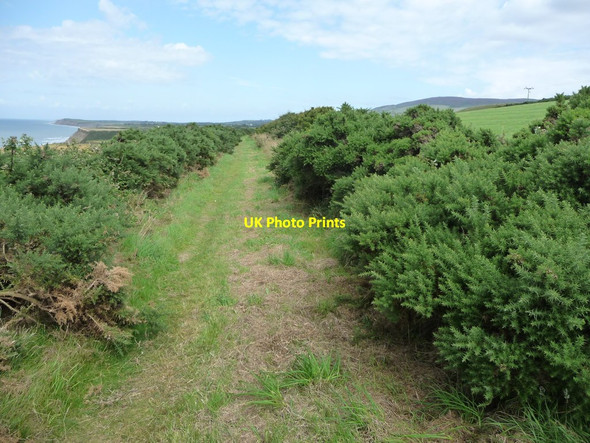 Photo 6"x4" The former Manx Northern Railway, north of Ballacarnane Ballacarnane Beg c2016