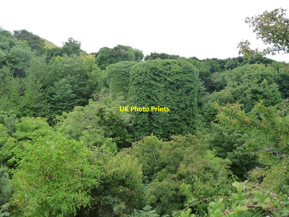 Photo 6"x4" Piers of the Glen Mooar viaduct, from the eastern abutment Ballacarnane Beg c2016