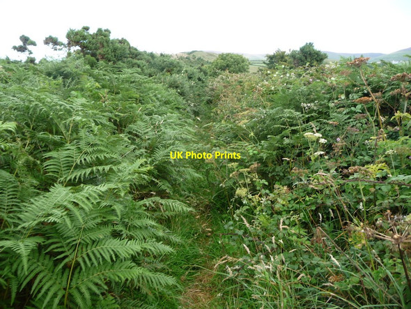 Photo 6"x4" The Manx Northern Railway, east of Glen Mooar Ballacarnane Beg c2016