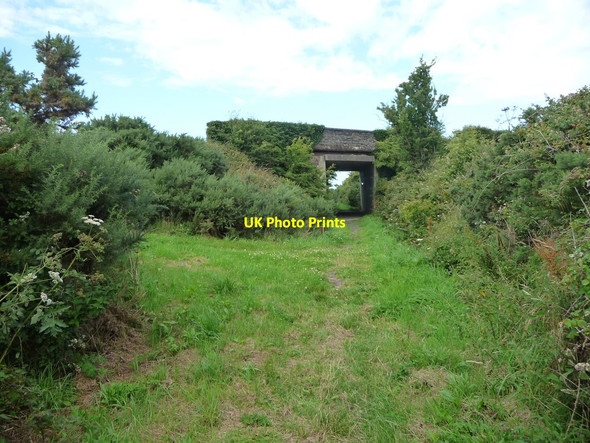 Photo 6"x4" The former Manx Northern Railway, near Berk Ballaleigh c2016