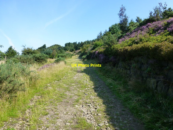 Photo 6"x4" Heather lined path to Higher Derbyshires Horwich c2016