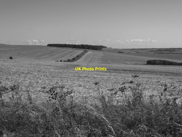 Photo 6"x4" View south from the Ridgeway, west of Uffington Castle Woolstone\/SU2987 c2016
